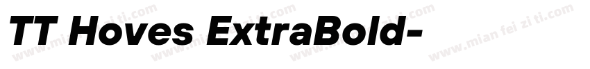 TT Hoves ExtraBold字体转换